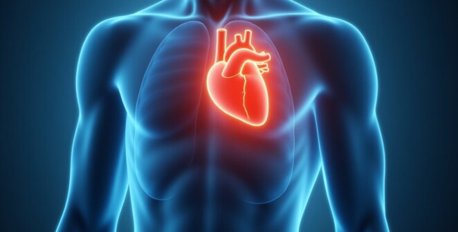 The Silent Signs of a Heart Attack After 60: What Every Senior Needs to Know